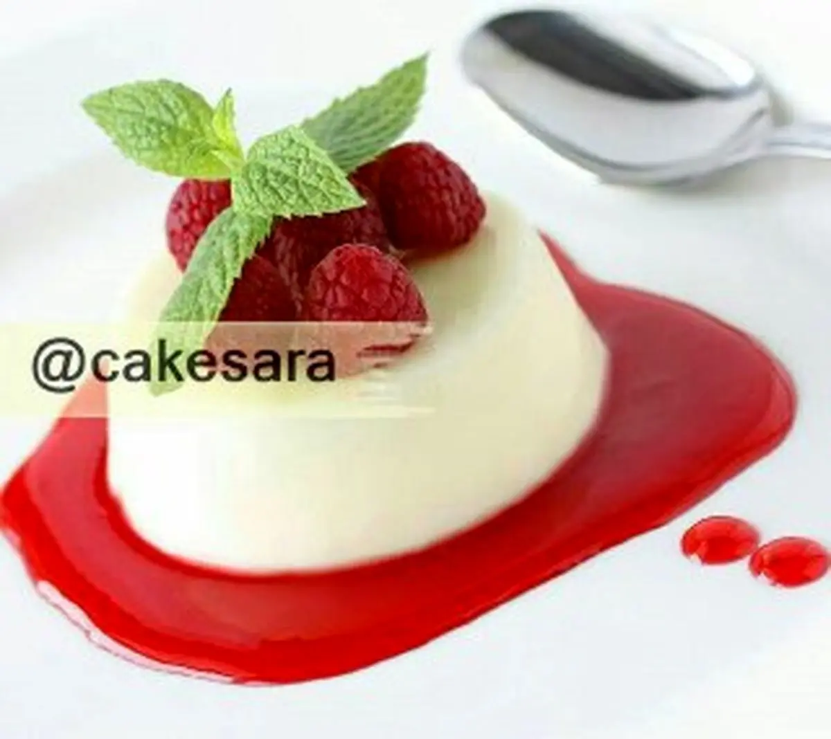 طرز تهیه دسر پاناکوتا