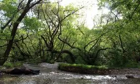 اختصاص ۱.۲ میلیارد تومان برای ساماندهی سراب‌های نهاوند