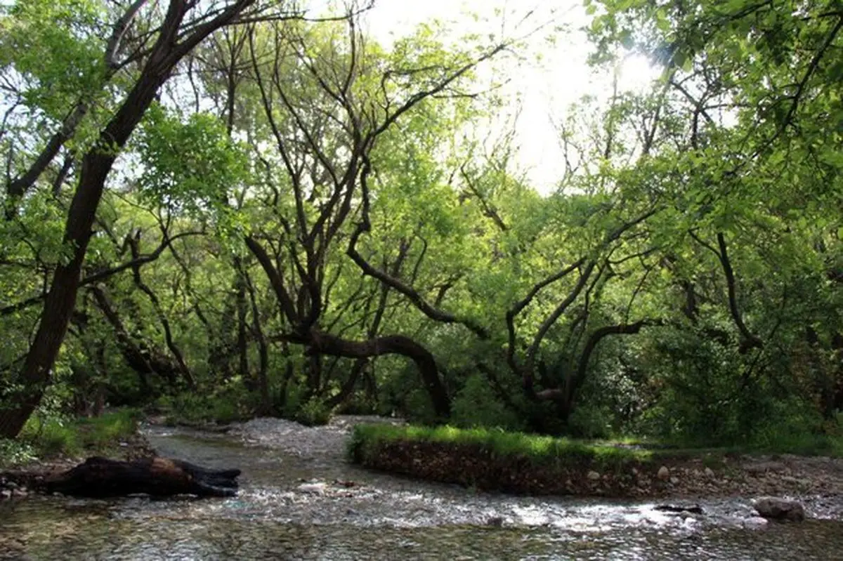 اختصاص ۱.۲ میلیارد تومان برای ساماندهی سراب‌های نهاوند