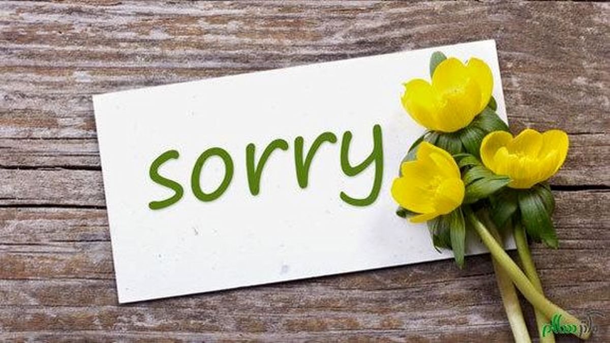چگونه عذرخواهی کنیم؟