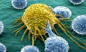 استفاده از طلا در درمان سرطان / تولید «کلوئید نانومیله‌های طلا» در اراک