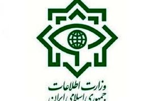 وزارت اطلاعات شبکه مفسدان اقتصادی ارز دولتی را منهدم کرد