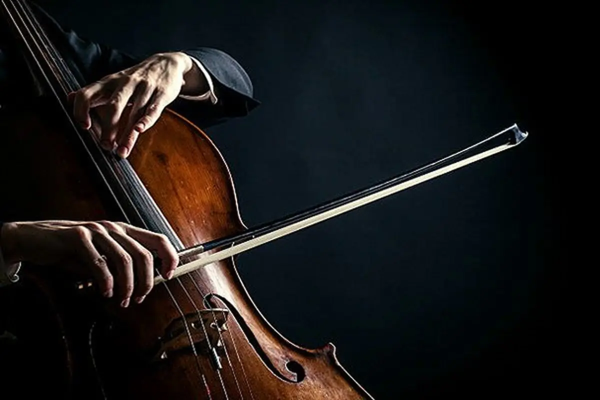 ویدئو/همنوازی زیبای ویولنسل و پیانو