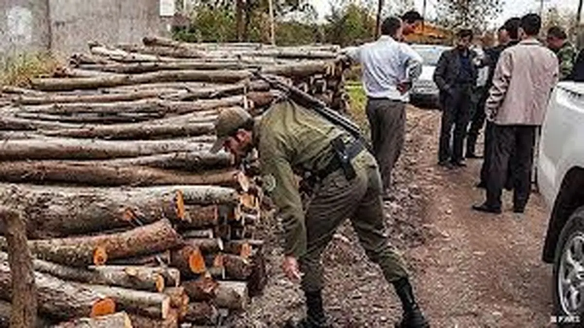 پای بانوان نیز به قاچاق چوب کشیده شد