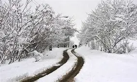 بارش نخستین برف زمستانی در شهرکرد