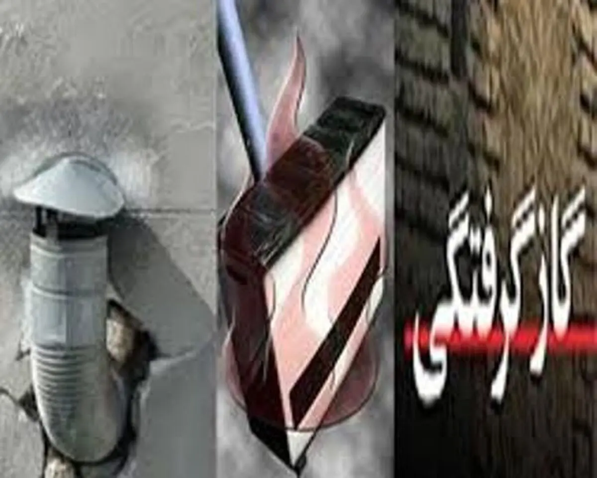 قاتل خاموش، جان پیرزن "شبستری " را گرفت
