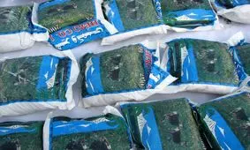 کشف 106 کیلو حشیش در یزد