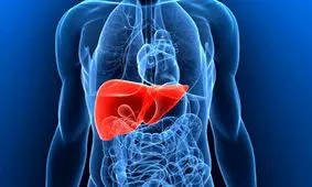 برای داشتن کبد سالم باید چه کنیم؟