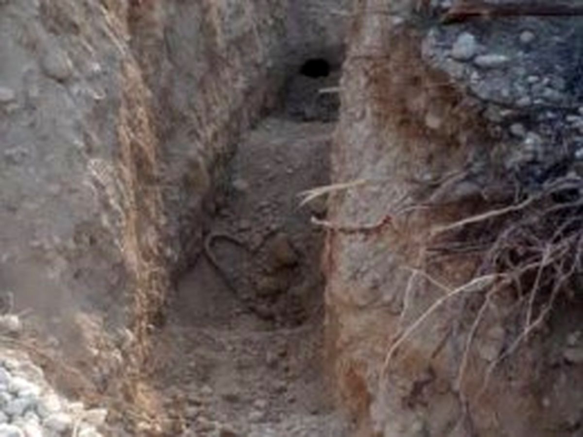 مرگ 2 سارق سوخت در تونل