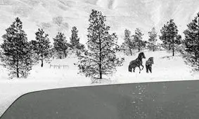 آخرین فیلم کیارستمی در میان ۱۰ فیلم برتر سال ۲۰۱۸