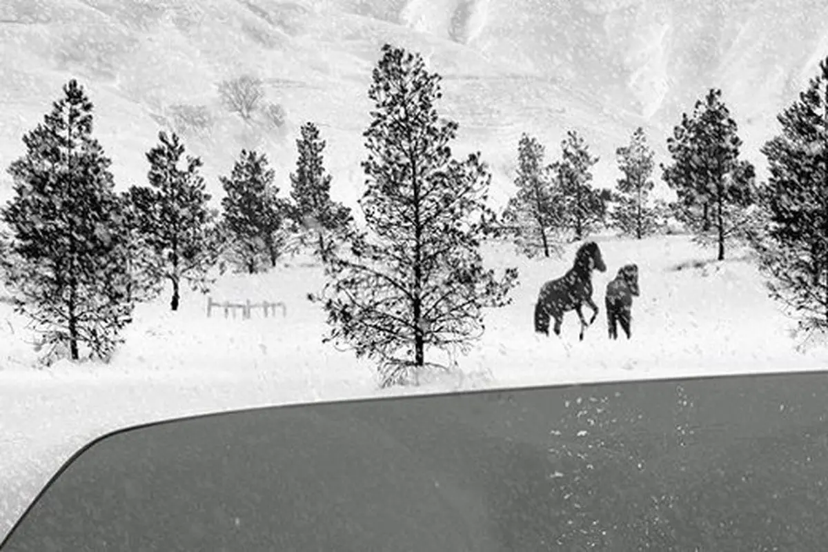 آخرین فیلم کیارستمی در میان ۱۰ فیلم برتر سال ۲۰۱۸