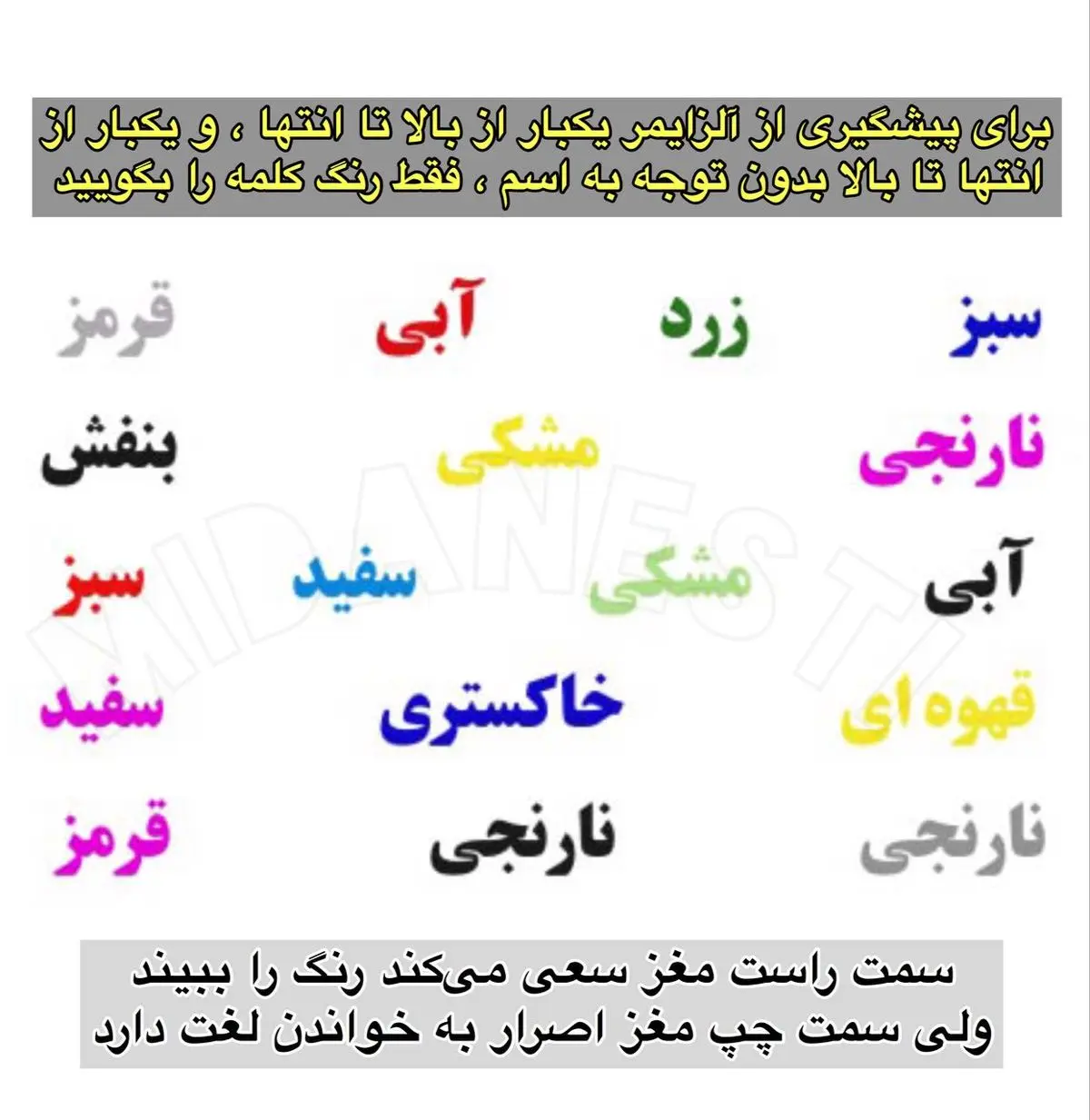 آلزایمر را فراموش کنید