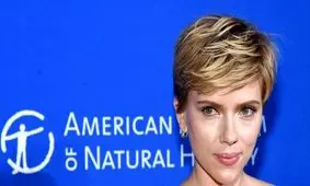 حمله تند به هرزه‌نگاران اینترنتی