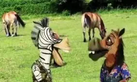 در جستجوی یک جای بی حیوان برای حرف زدن!