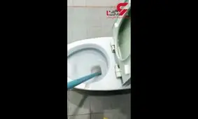 شوکه شدن این زن پس از دیدن صحنه ای وحشتناک در توالت خانه+ فیلم