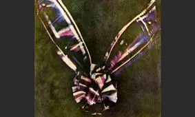 اولین عکس رنگی تاریخ +عکس