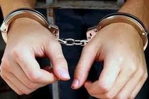 توقیف تریلی حامل کالای قاچاق در سمنان/ ۳ نفر دستگیر شدند