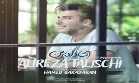 تک آهنگی از علیرضا طلیسچی