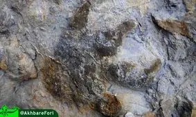 کشف 85 ردپای دایناسورها در انگلستان