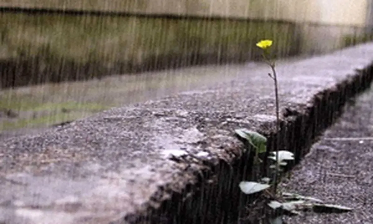 ورود سامانه بارشی جدید به کهگیلویه و بویراحمد از روز چهارشنبه