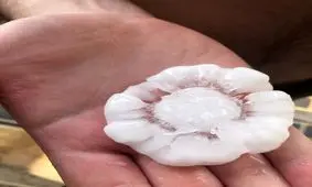 بارش تگرگ به اندازه توپ تنیس در سیدنی!