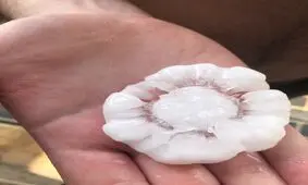 بارش تگرگ به اندازه توپ تنیس در سیدنی!
