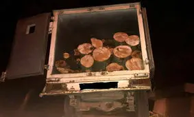 کشف چوب قاچاق سرخدار و راش در کردکوی