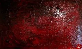 بررسی رنگ زرشکی / رنگ زرشکی نماد چیست؟