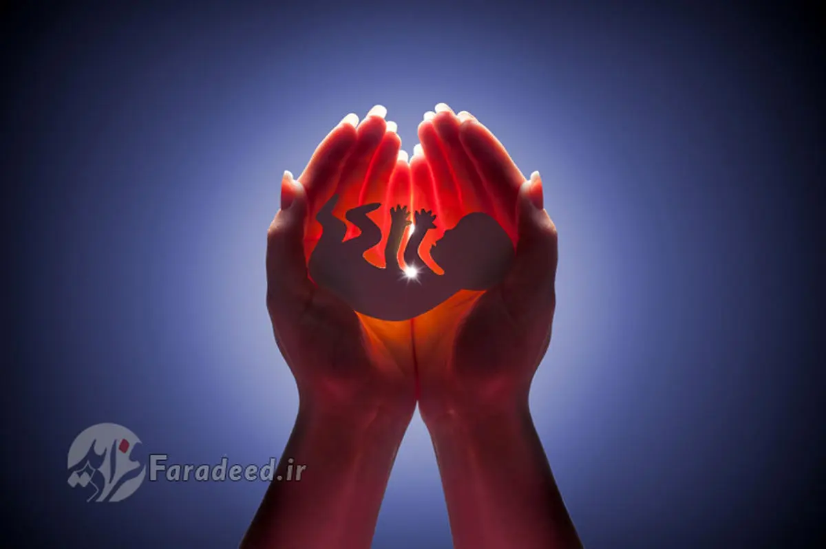 مجازات سقط جنین در قانون