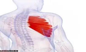 درد شانه را جدی بگیرید