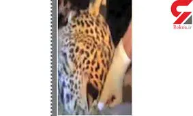 وحشت ماموران پلیس از دیدن صحنه ای عجیب در کلانتری