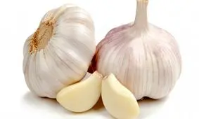 خواص سیر برای بدن