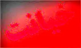 خیانتی که پس‌از ۵ سال افشاء شد