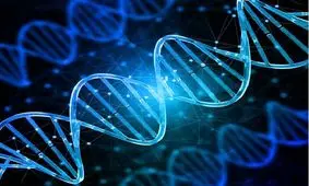 دستیابی محققان دانشگاه ارومیه به دانش فنی تولید داروی ضد سرطان