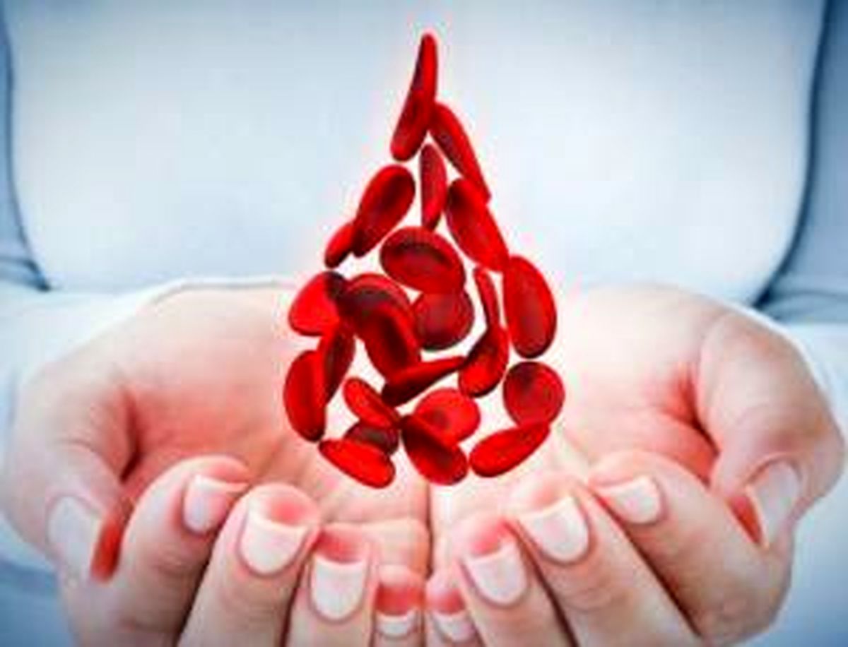 فواید و معایب اهدای خون که قبل از انجام آن باید بدانید