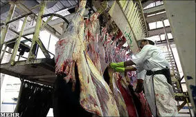 عدم وجود کشتارگاه دام و میدان میوه و تره بار در هشترود