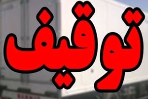 کشف محموله خرچنگ در عسلویه/ یک بنگلادشی دستگیر شد