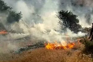 آمار تکان‌دهنده آتش‌سوزی‌های کشور؛ ۱۸۳ هزار هکتار جنگل سوخت