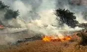 آمار تکان‌دهنده آتش‌سوزی‌های کشور؛ ۱۸۳ هزار هکتار جنگل سوخت