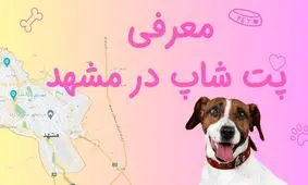 معرفی پت شاپ‌های مشهد