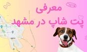 معرفی پت شاپ‌های مشهد