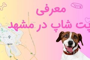 معرفی پت شاپ‌های مشهد