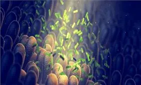 حداقل ۴ سال دوری از دیابت و بیماری قلبی با پیوند مدفوع