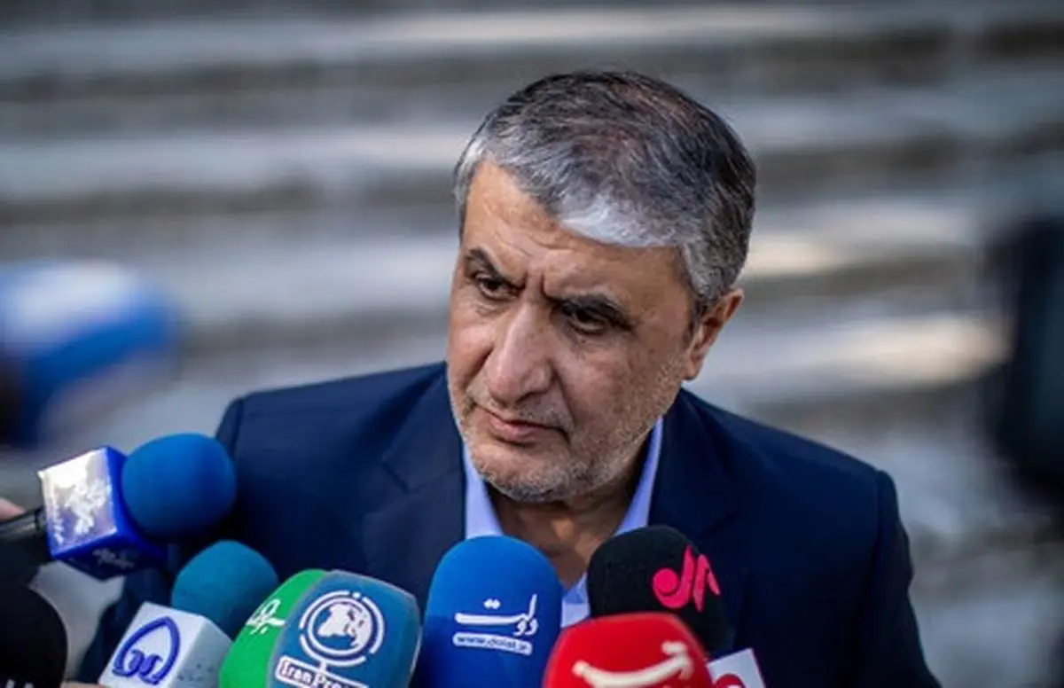 واکنش رئیس سازمان انرژی اتمی به ادعاهای اخیر گروسی