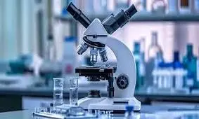 رفتار زنده‌وار ساچمه‌ها زیر میدان الکتریکی/ ویدئو