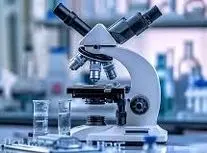 رفتار زنده‌وار ساچمه‌ها زیر میدان الکتریکی/ ویدئو