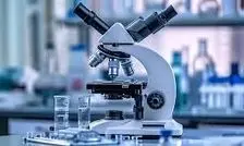 رفتار زنده‌وار ساچمه‌ها زیر میدان الکتریکی/ ویدئو