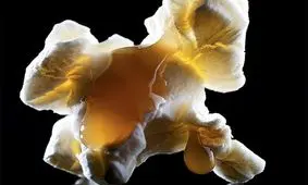 پروتئین شیرین Brazin جایگزین احتمالی شکر در آینده

