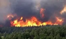 ۲۰ روز آتش‌سوزی در جنگل‌های هیرکانی؛ وسعت حریق هر لحظه بیشتر می‌شود/ ویدئو