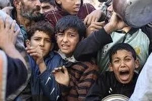 می‌نویسند گرسنه می‌مانند می‌میرند